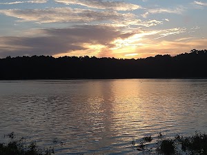Blue Bluff Campground (aberdeen Ms) | Tennessee-Tombigbee Waterway Camping