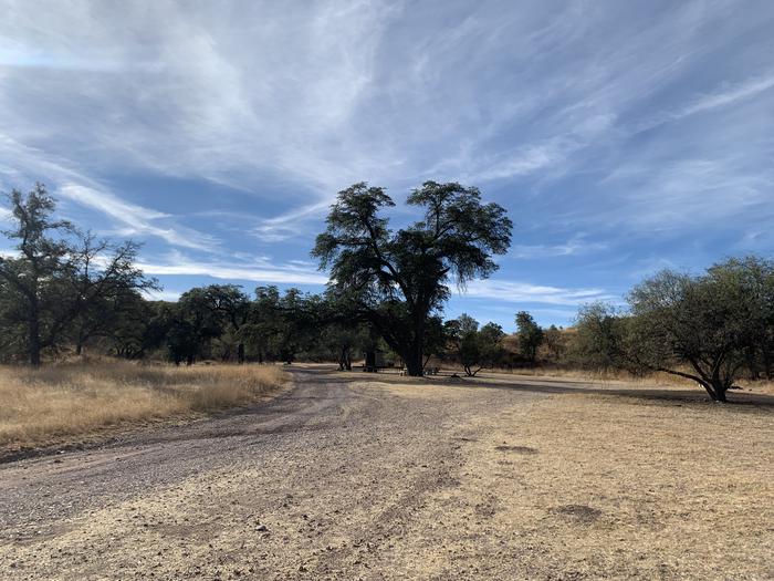 Calabasas | Coronado National Forest Camping