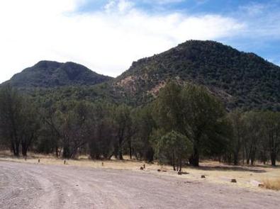Camp Rucker Group Site | Coronado National Forest Camping Camp Rucker Group Site | Coronado National Forest Camping
