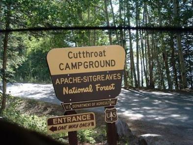 Cutthroat | Apache-Sitgreaves National Forest Camping