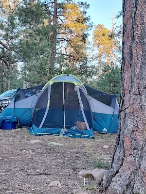 Fr 169 Campground | Apache-Sitgreaves National Forest Camping