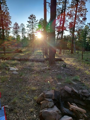 Fr 169 Campground | Apache-Sitgreaves National Forest Camping