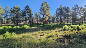 Fr 171 Campground | Apache-Sitgreaves National Forest Camping