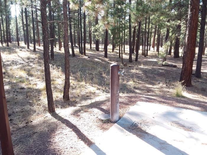 Hoyer | Apache-Sitgreaves National Forest Camping