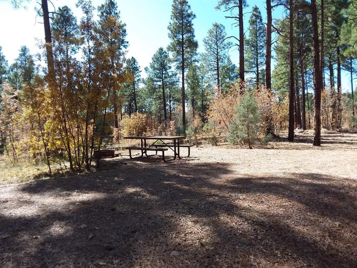 Lewis Canyon | Apache-Sitgreaves National Forest Camping