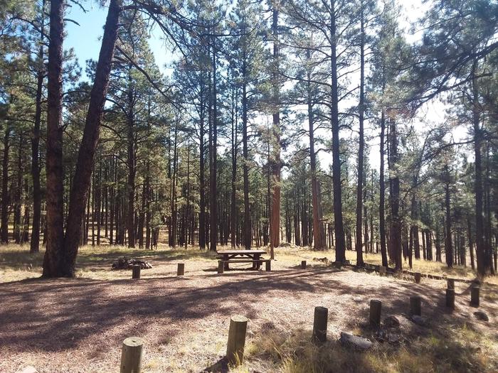 Luna Lake | Apache-Sitgreaves National Forest Camping Luna Lake | Apache-Sitgreaves National Forest Camping