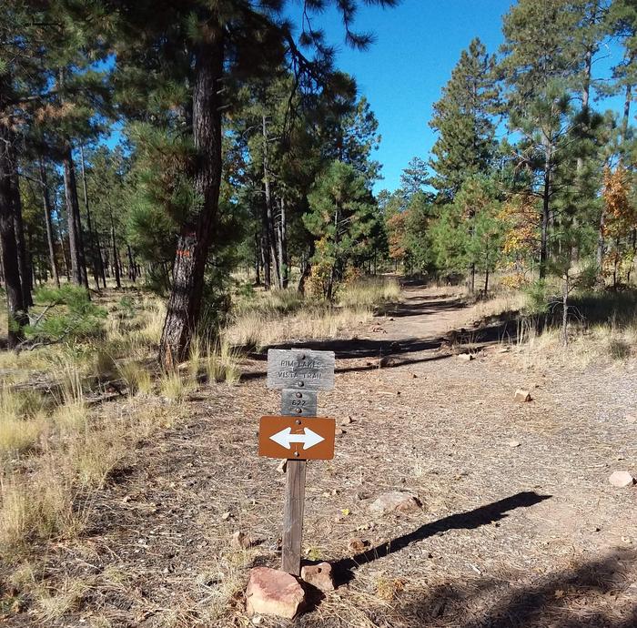 Mogollon Campground | Apache-Sitgreaves National Forest Camping Mogollon Campground | Apache-Sitgreaves National Forest Camping