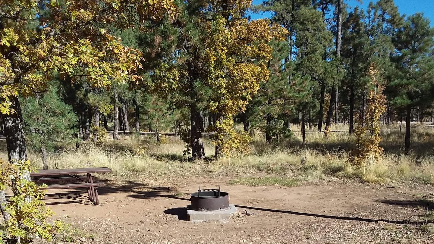 Mogollon Campground | Apache-Sitgreaves National Forest Camping Mogollon Campground | Apache-Sitgreaves National Forest Camping