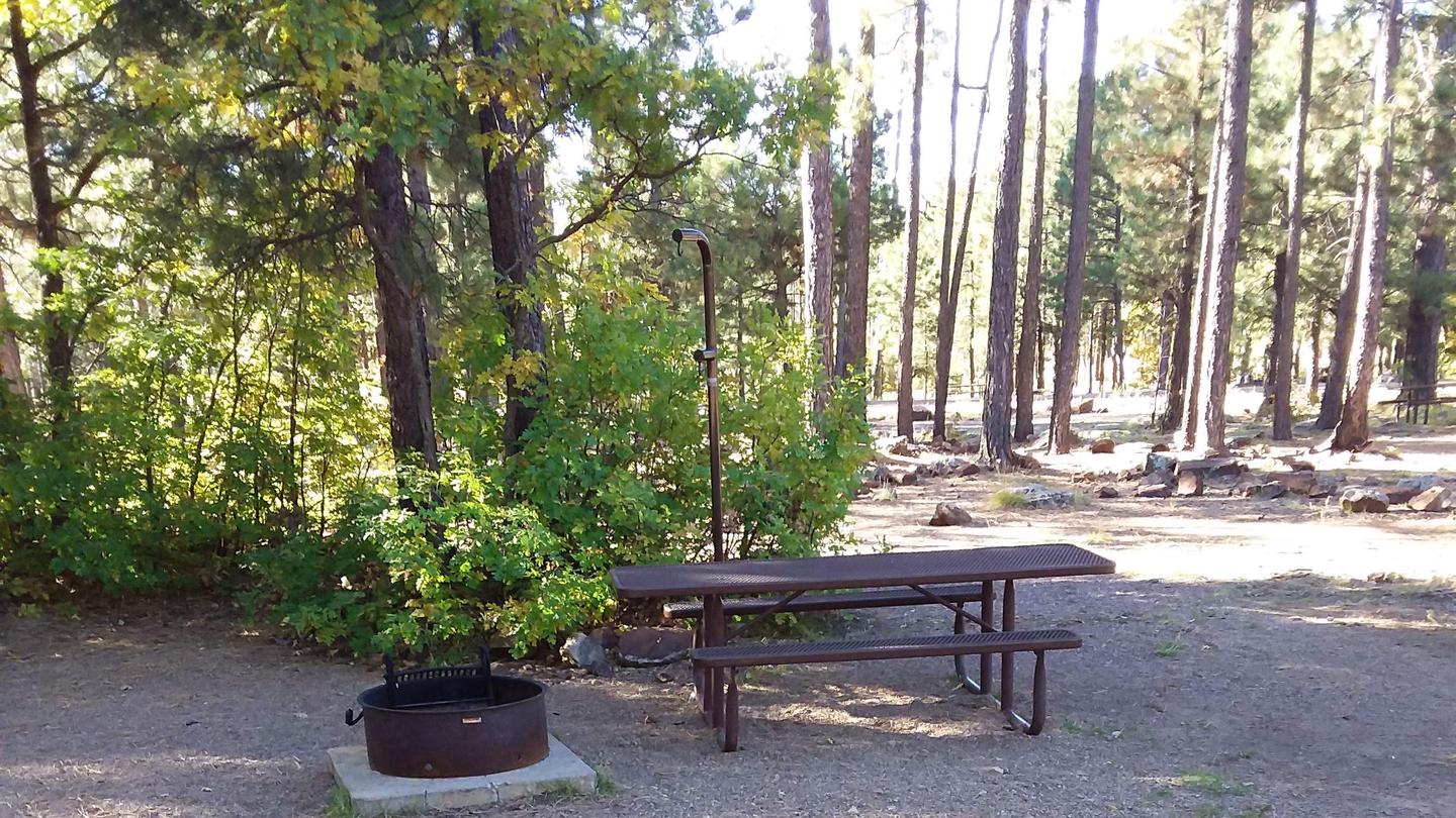 Rim Campground | Apache-Sitgreaves National Forest Camping Rim Campground | Apache-Sitgreaves National Forest Camping