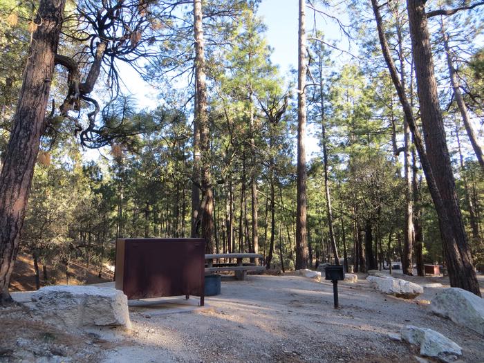 Rose Canyon | Coronado National Forest Camping Rose Canyon | Coronado National Forest Camping