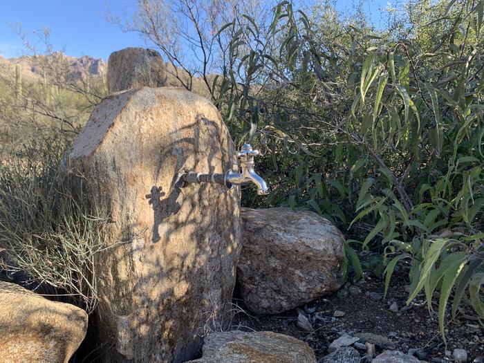Sabino Canyon Recreation Area Cactus Ramada 1 | Coronado National Forest Camping