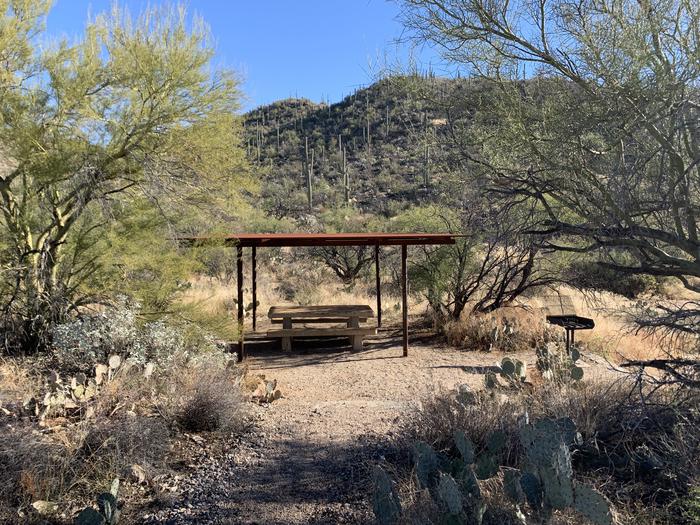 Sabino Canyon Recreation Area Cactus Ramada 2 | Coronado National Forest Camping