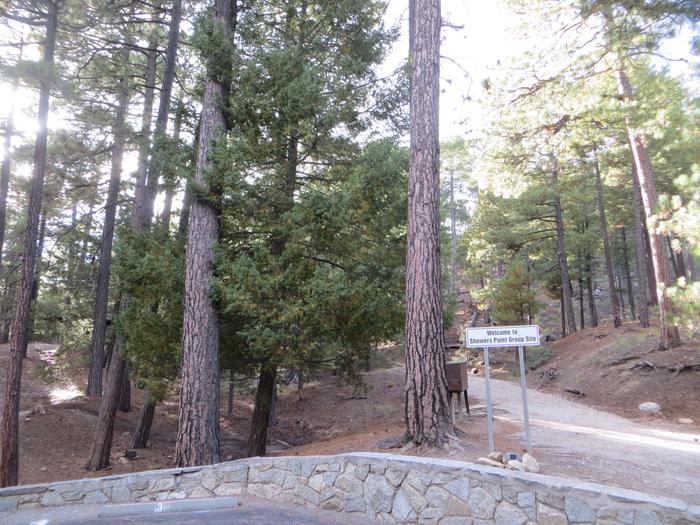 Showers Point Group Site | Coronado National Forest Camping