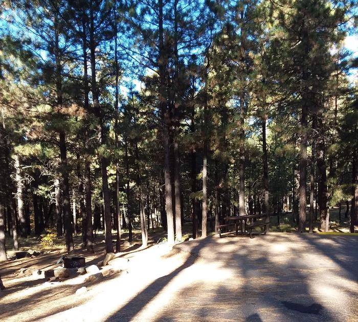Sinkhole Campground | Apache-Sitgreaves National Forest Camping