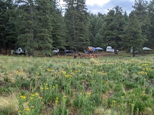 Treasure Park – North | Coronado National Forest Camping Treasure Park – North | Coronado National Forest Camping