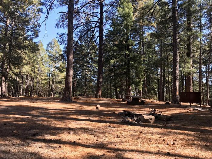 Upper Twilight Group Site | Coronado National Forest Camping