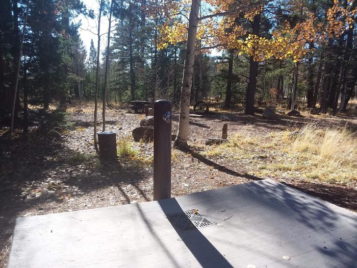 Winn | Apache-Sitgreaves National Forest Camping