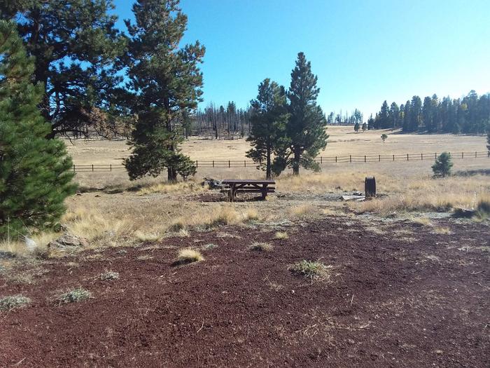 Winn | Apache-Sitgreaves National Forest Camping